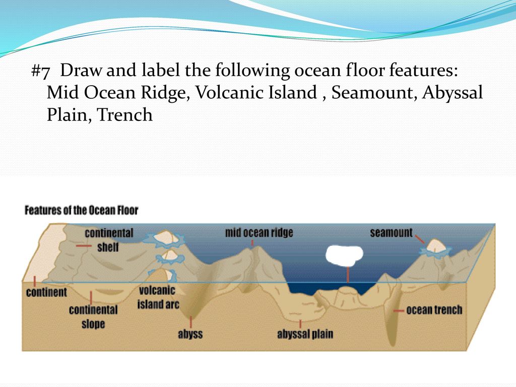 The Oceans Ppt Download