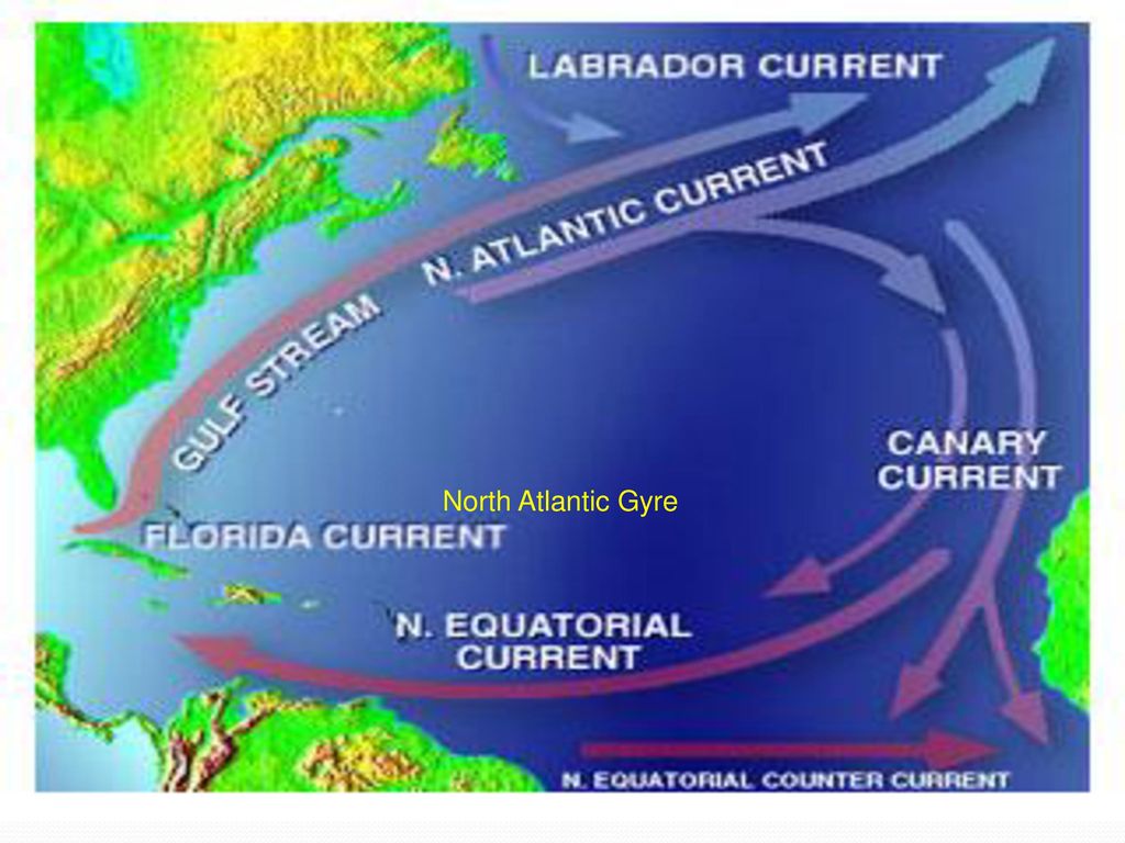 Укажите холодное течение. Лабрадорское течение на карте. Гольфстрим и Лабрадорское. Морские течения. Гольфстрим и Лабрадорское течение.