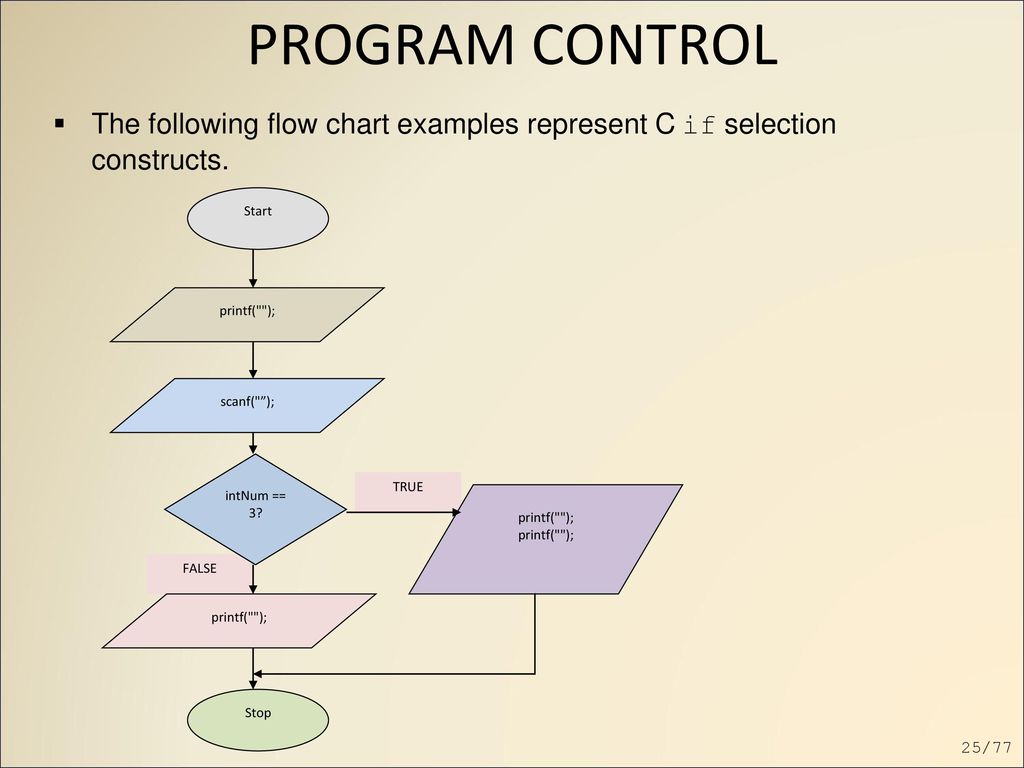 Program flow