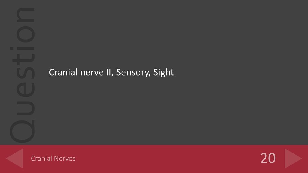 Cranial nerve II, Sensory, Sight