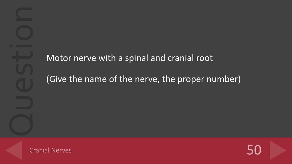 50 Motor nerve with a spinal and cranial root