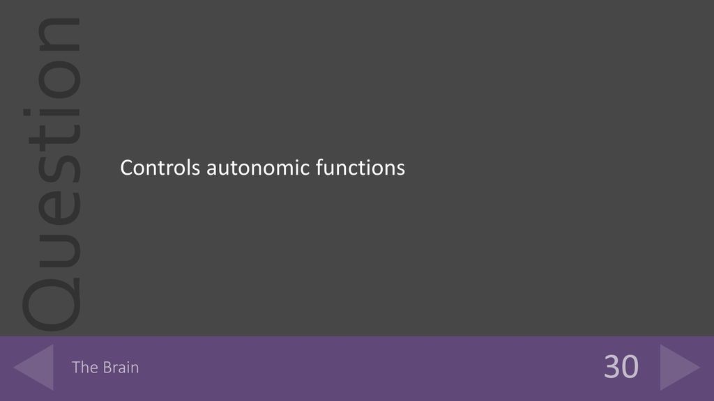 Controls autonomic functions