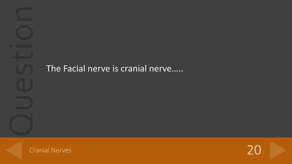 The Facial nerve is cranial nerve…..