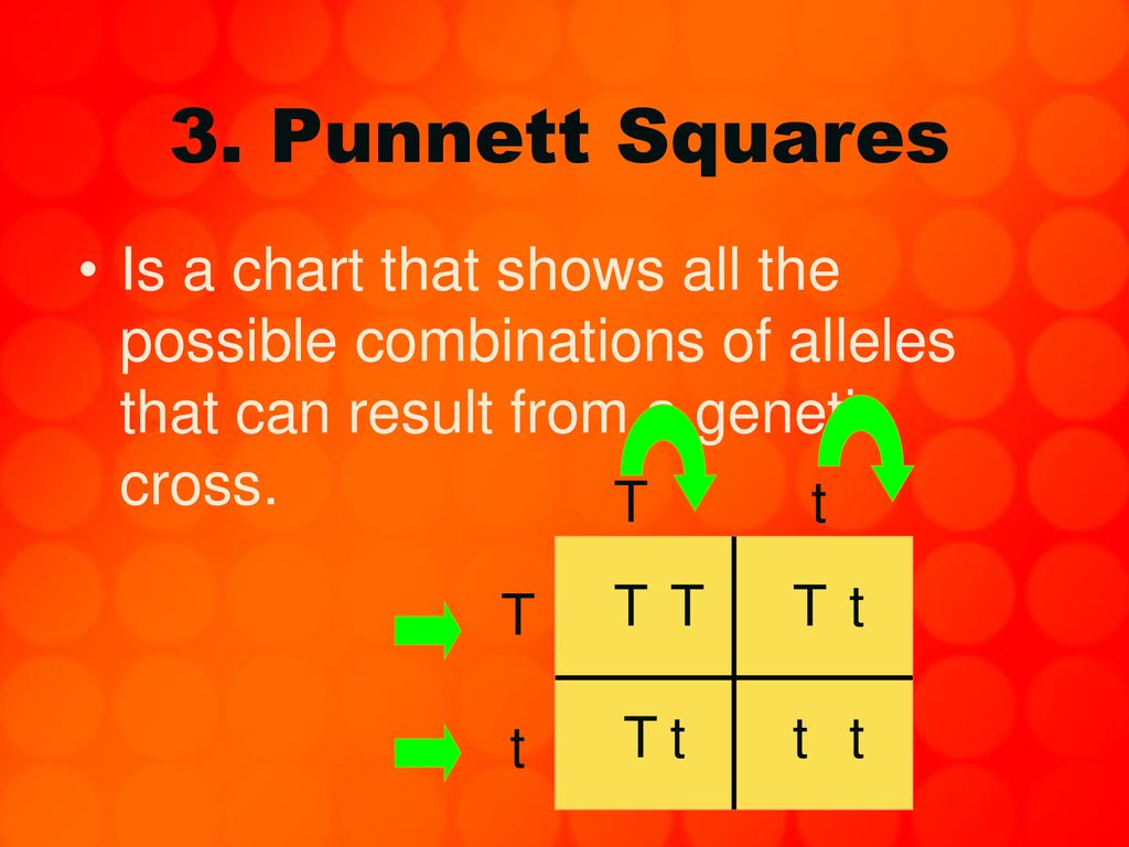 Probability Heredity Ppt Download