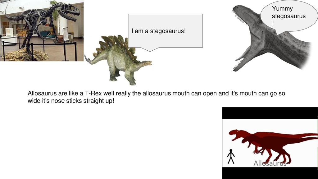 Dinosaurs I M From The Jurassic Times By Brandon Ppt Download