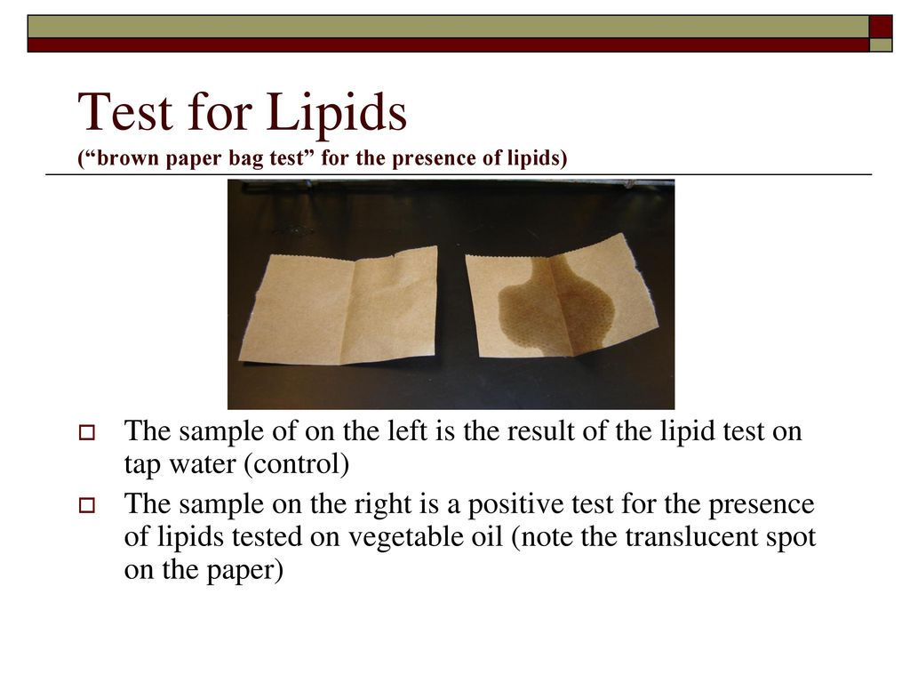 Classify each as a carbohydrate protein or lipid ppt download