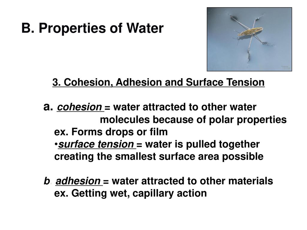 Chapter 2 Chemicals of Life ppt download