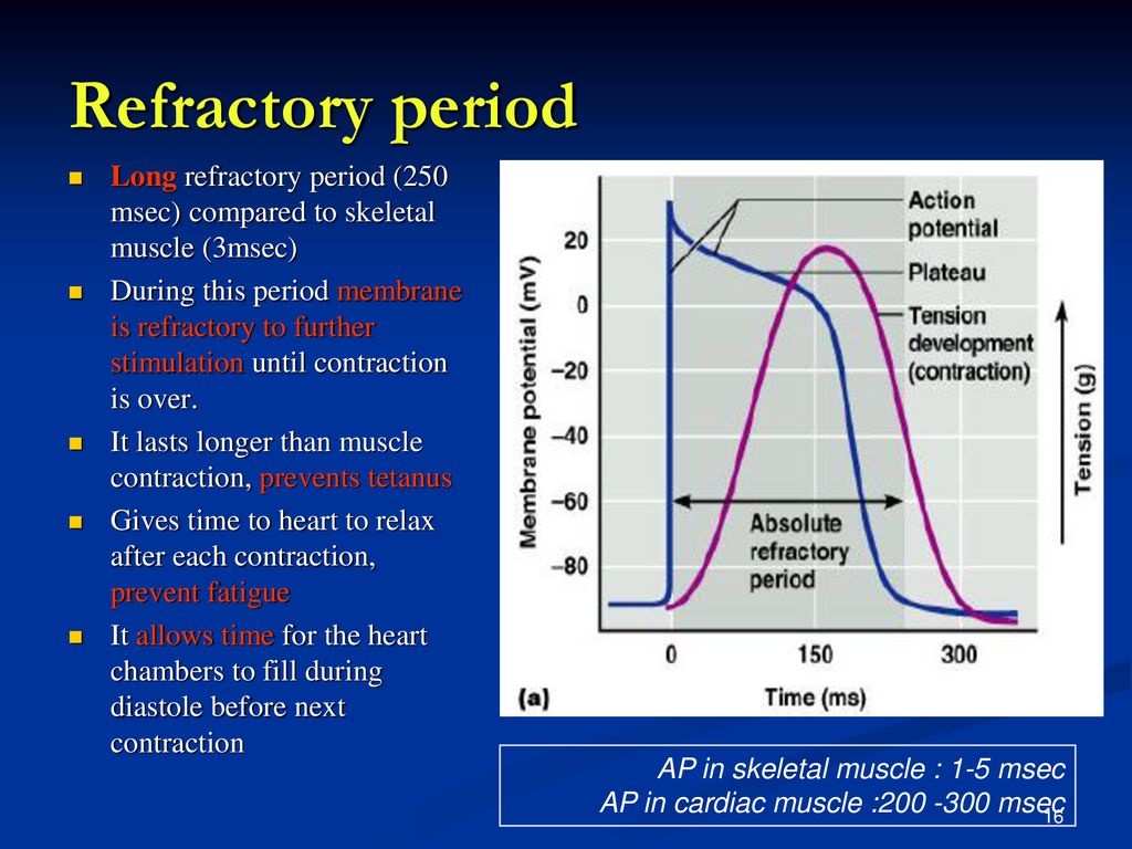 Period definition. Рефрактерный период. Absolute Refractory period. The Refractory period Heart. Рефрактерный период потенциала действия.