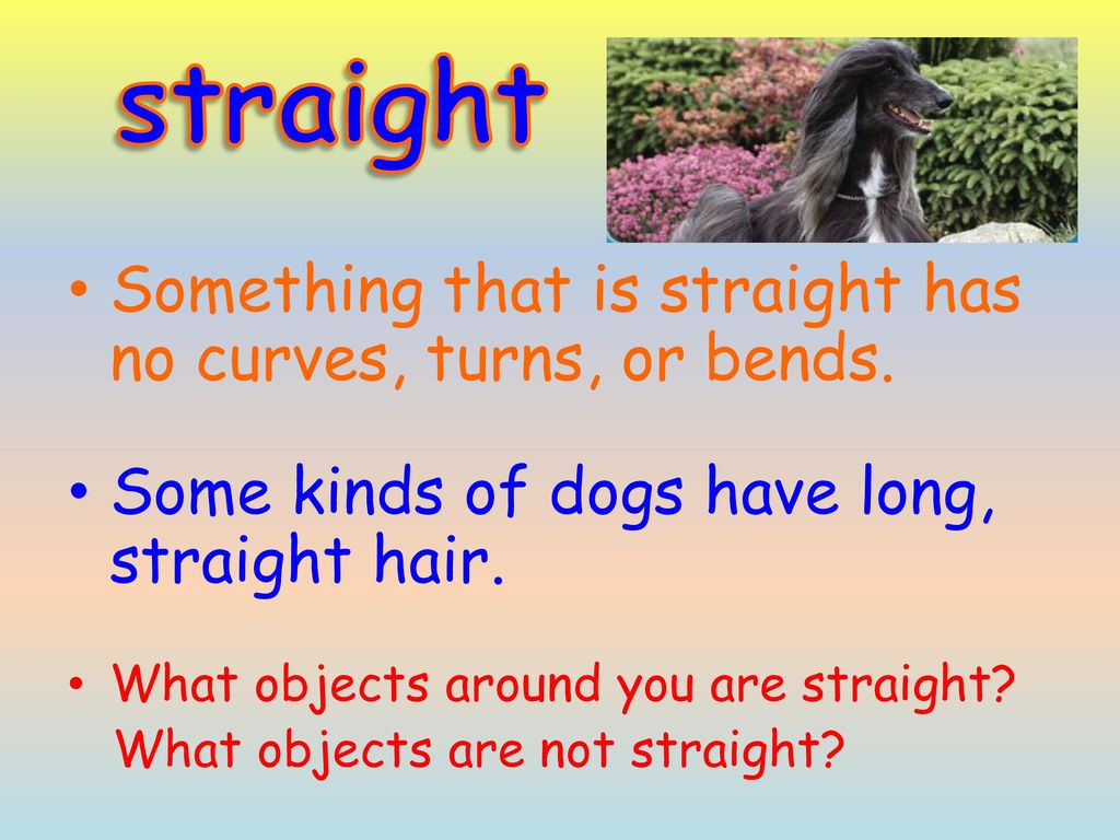 Vocabulary intro ppt download