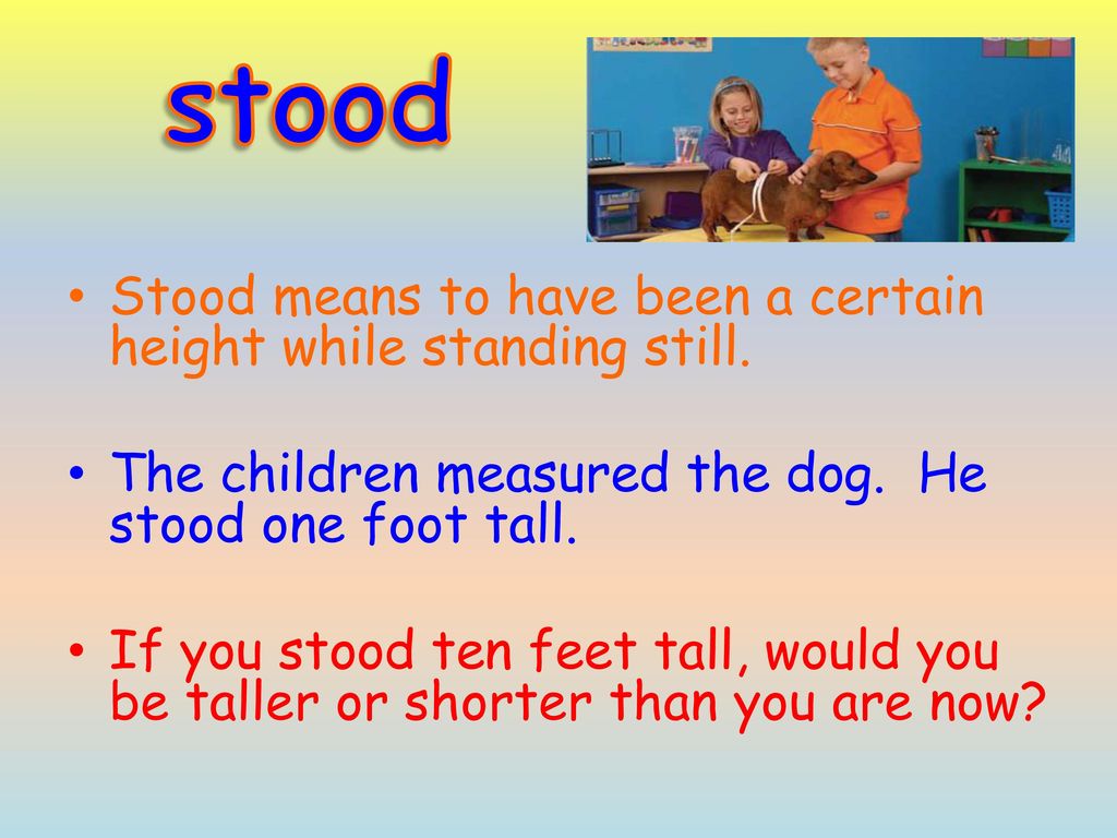 Vocabulary Intro ppt download Vocabulary Intro ppt download