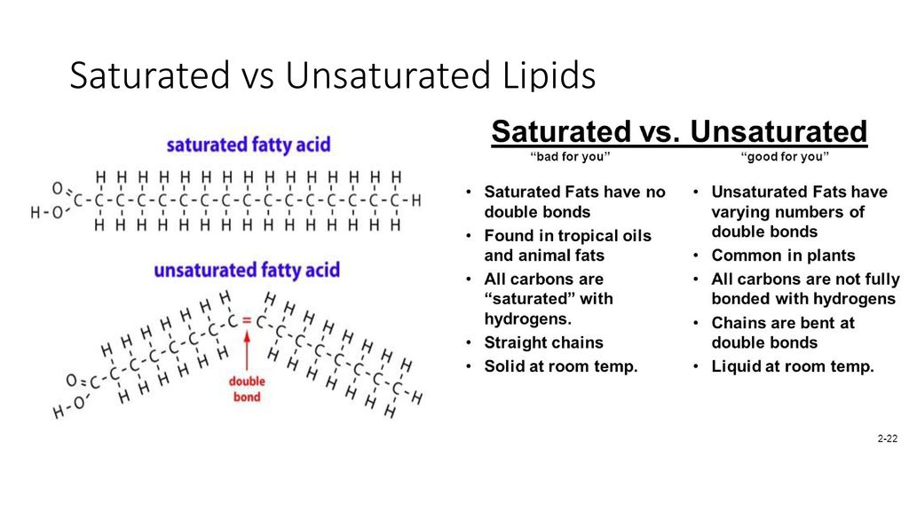 MACROMOLECULES Chapter 2 Honors Bio. - ppt download