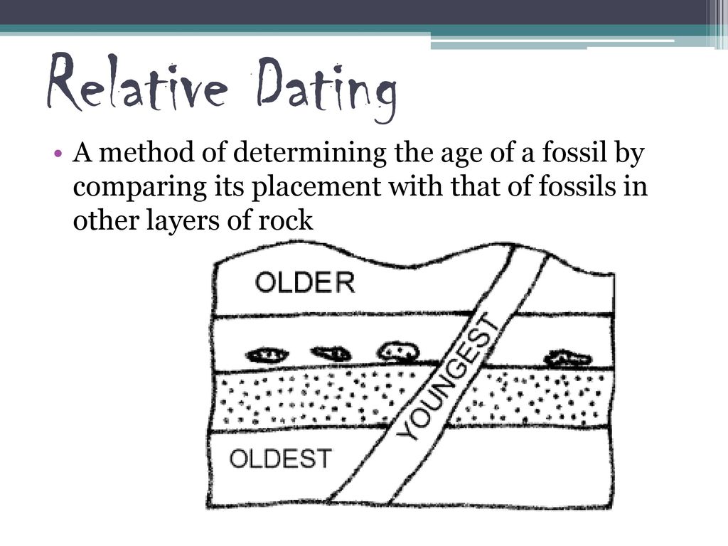 Define relative dating in fossils