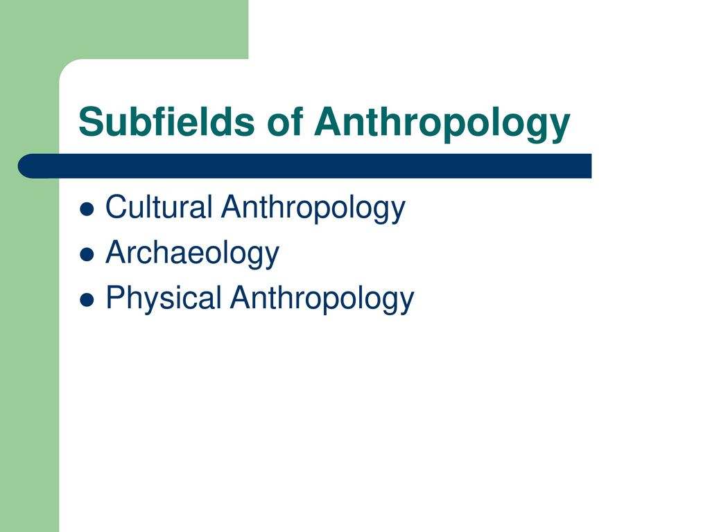 Introduction to Physical Anthropology 9th Edition (Ninth Edition) by Robert  Jurmain