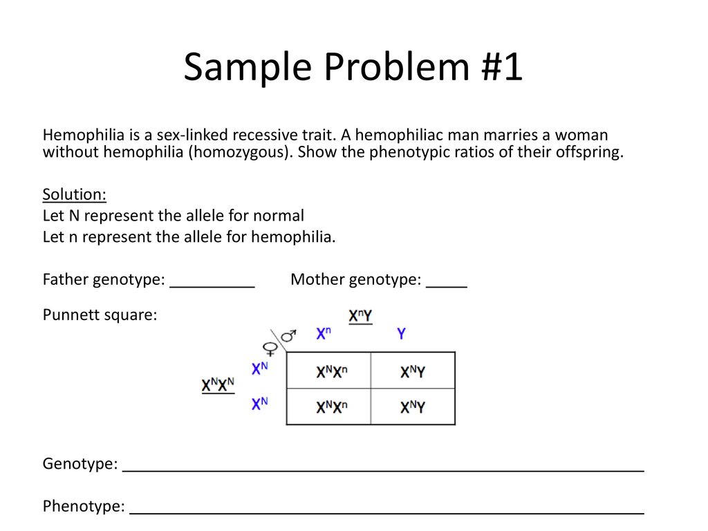 Sex Linked Traits. - ppt download