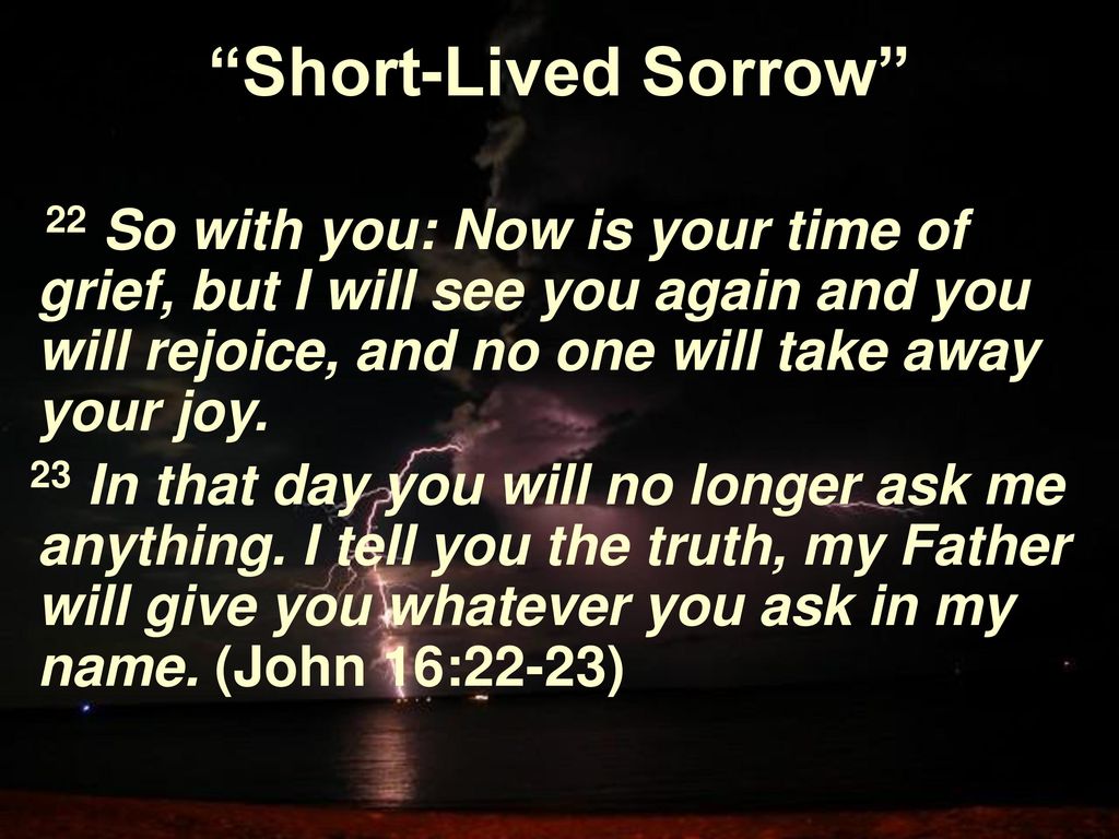 Short Lived Sorrow John 16 07 07 Dr Dane Boyles Ppt Download