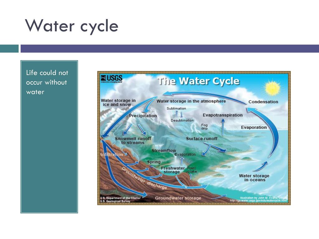 Ecology. - ppt download