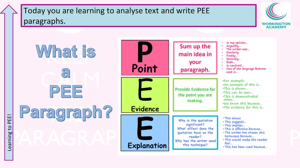 Read The Extract That s In Front Of You Ppt Download read-the-extract-that-s-in-front-of-you-ppt-download