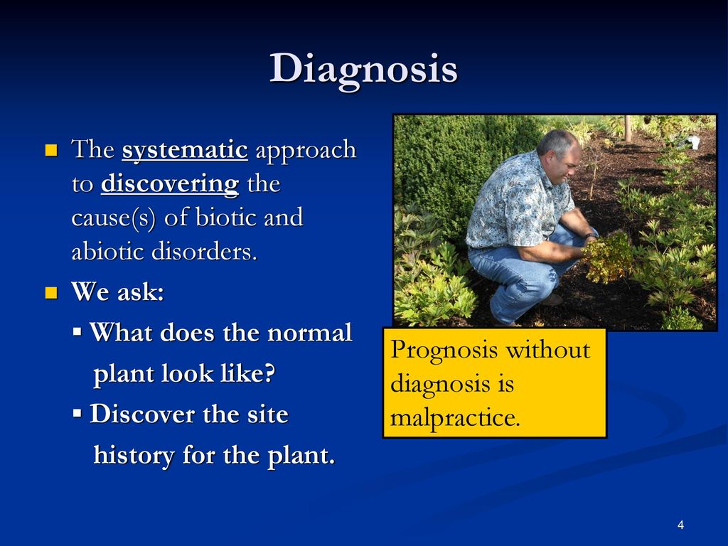 Diagnosis The systematic approach to discovering the cause(s) of biotic and abiotic disorders. We ask: