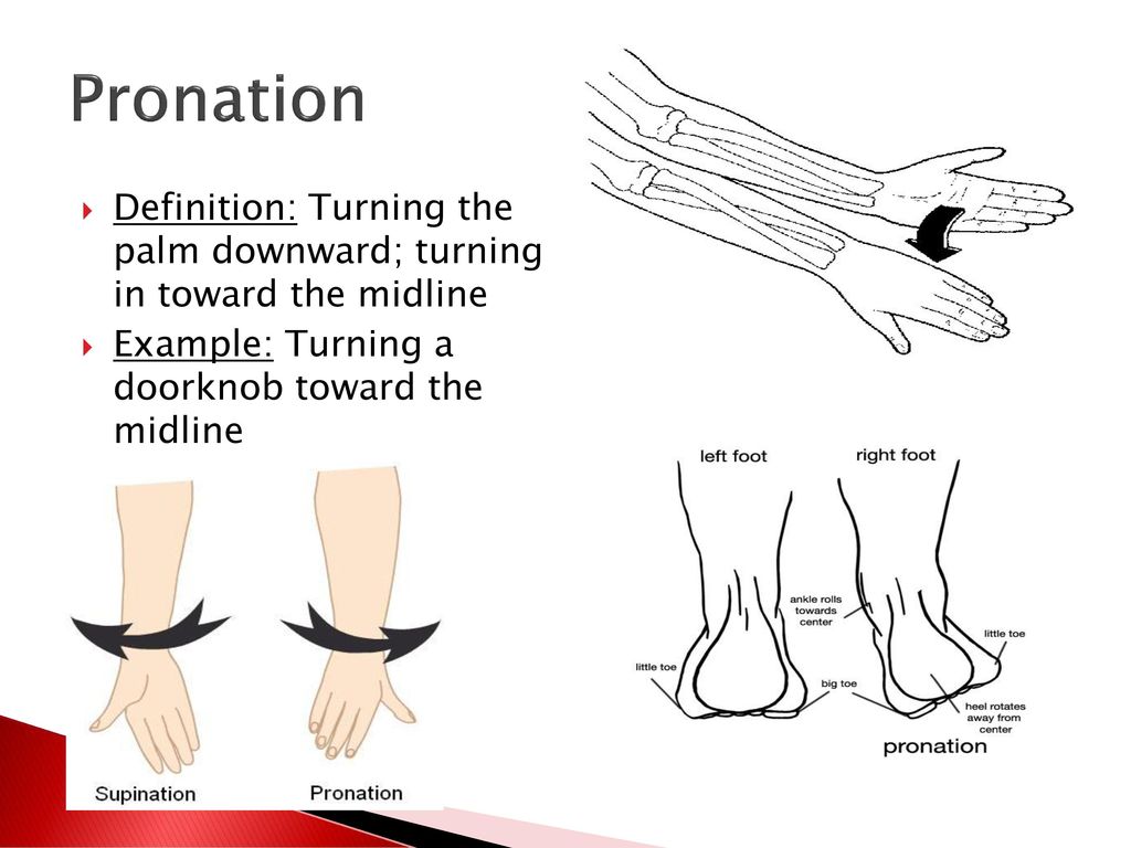 Pronation and supination: Anatomy, definition, images