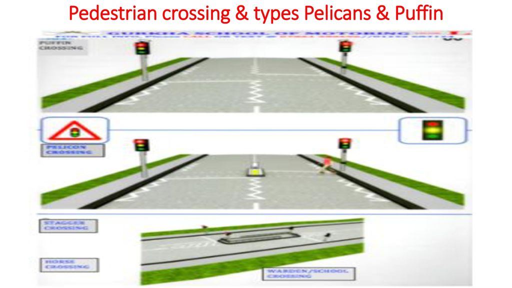 Pedestrian crossing & types Pelicans & Puffin