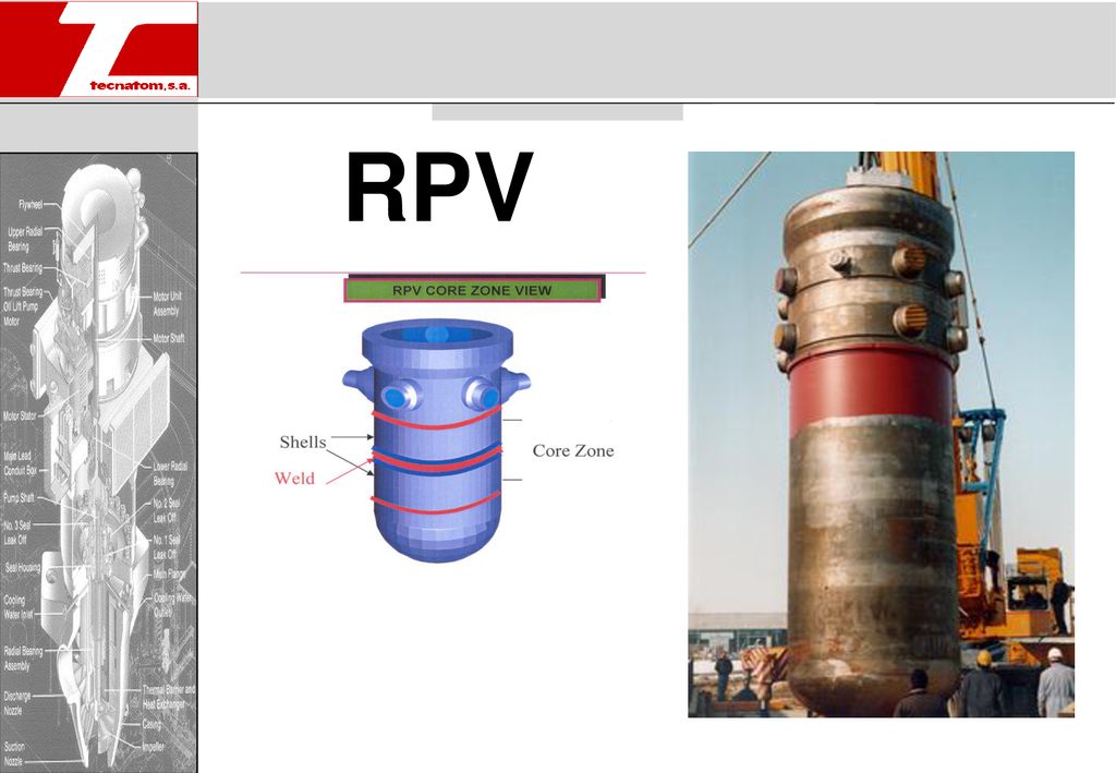 RPV Surveillance Programmes - ppt download