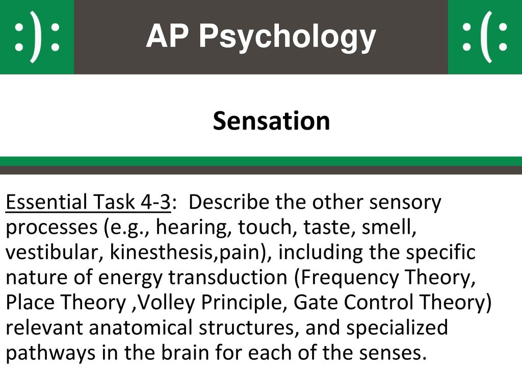 AP Psychology Sensation