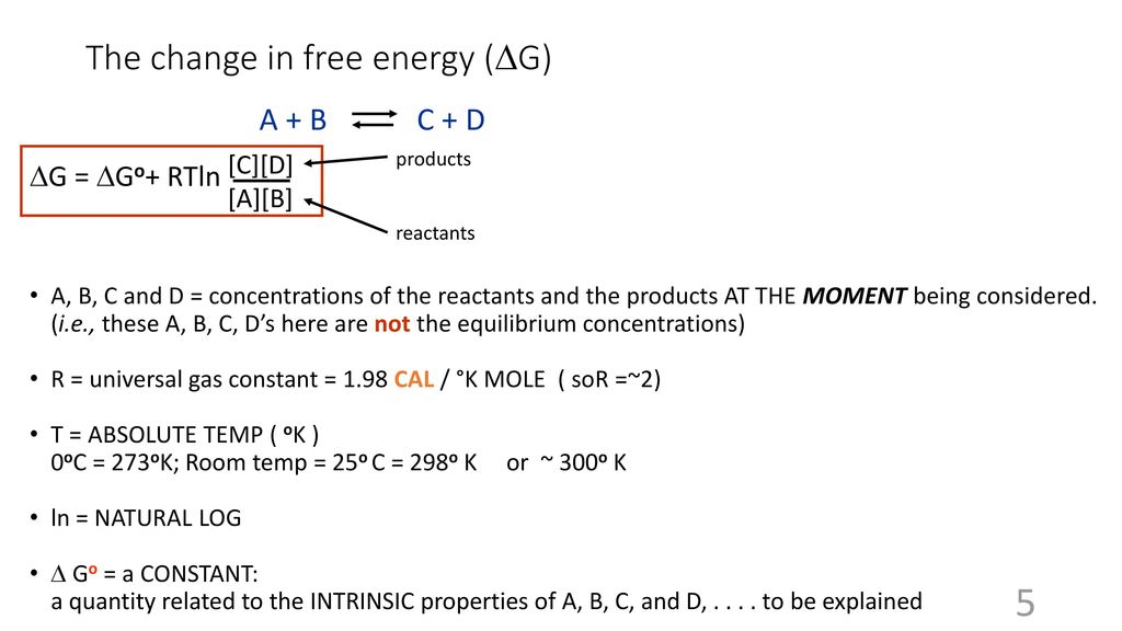Steady State Is Not The Same As Equilibrium Ppt Download