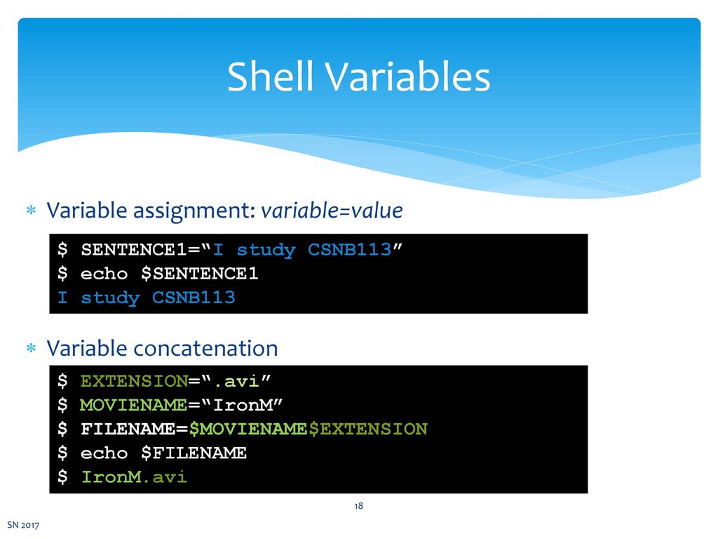 shell variable assignment