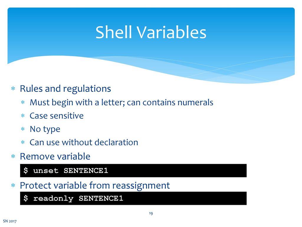 shell variable assignment