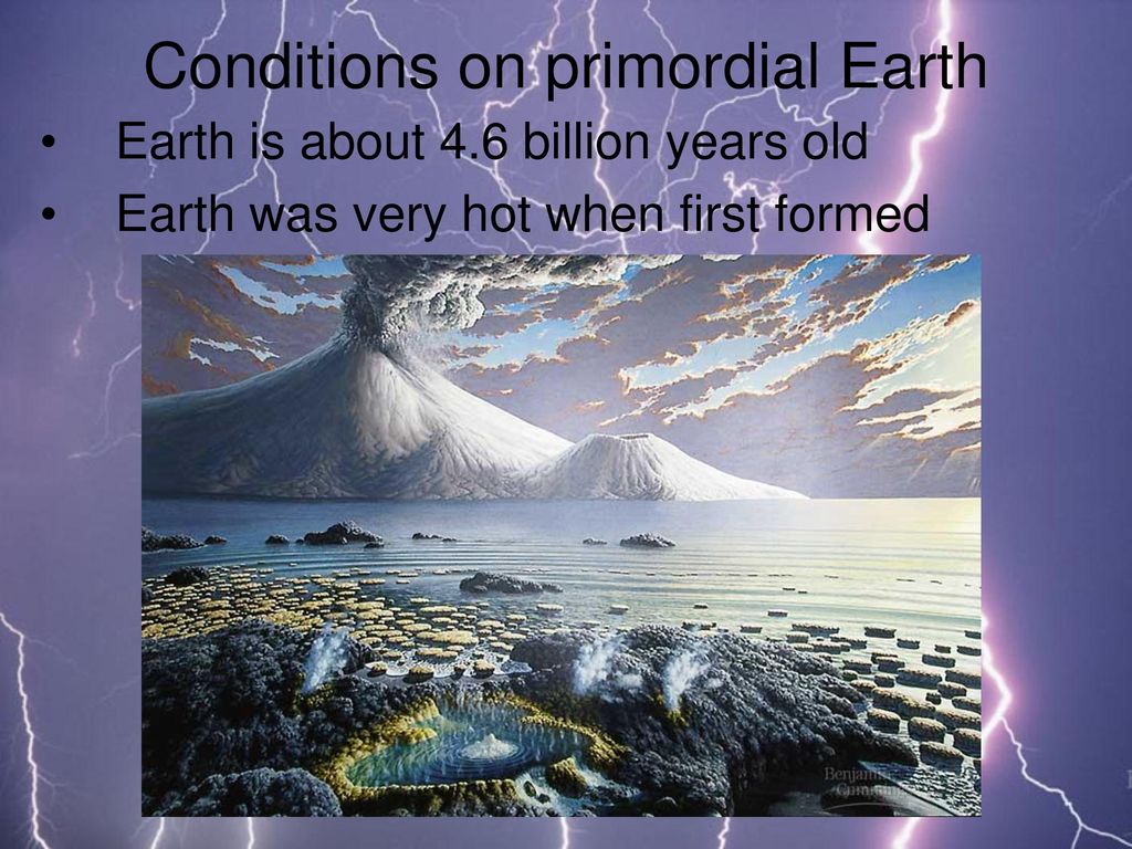 History of Life on Earth - ppt download