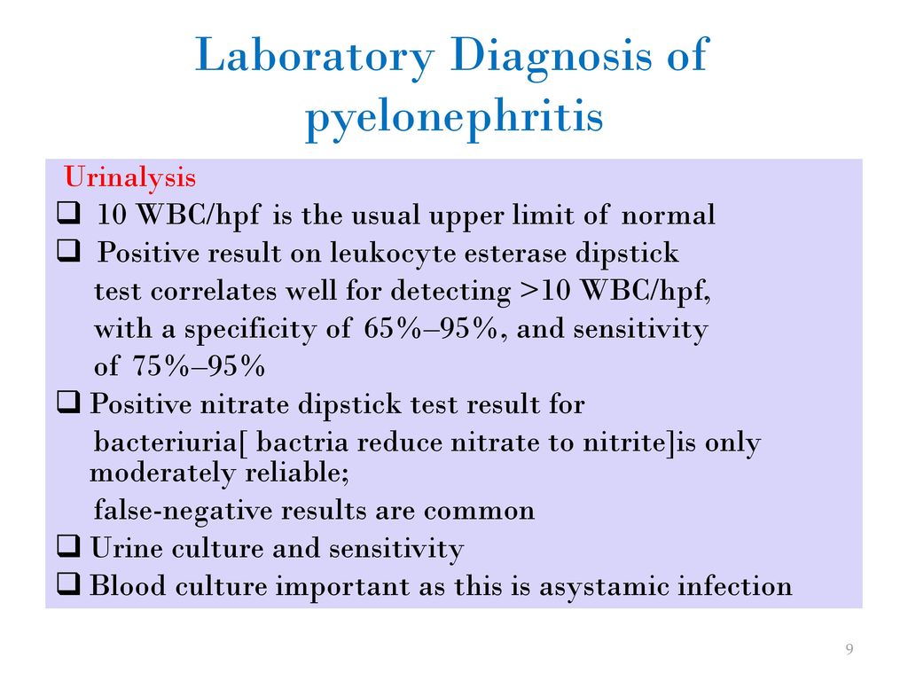 Pyelonephritis. - ppt download