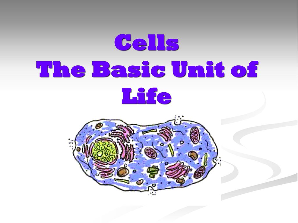 Cells The Basic Unit of Life - ppt download