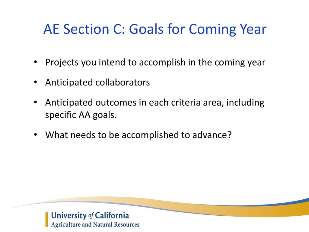 AE Section C: Goals for Coming Year