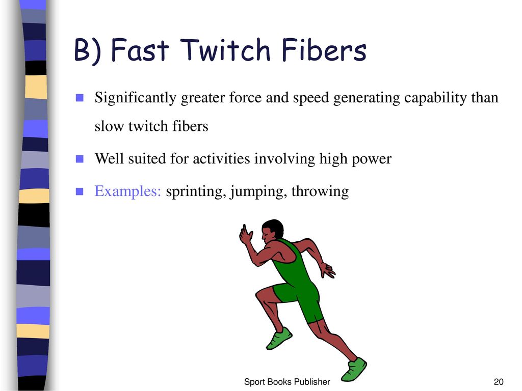 B) Fast Twitch Fibers Significantly greater force and speed generating capability than slow twitch fibers.