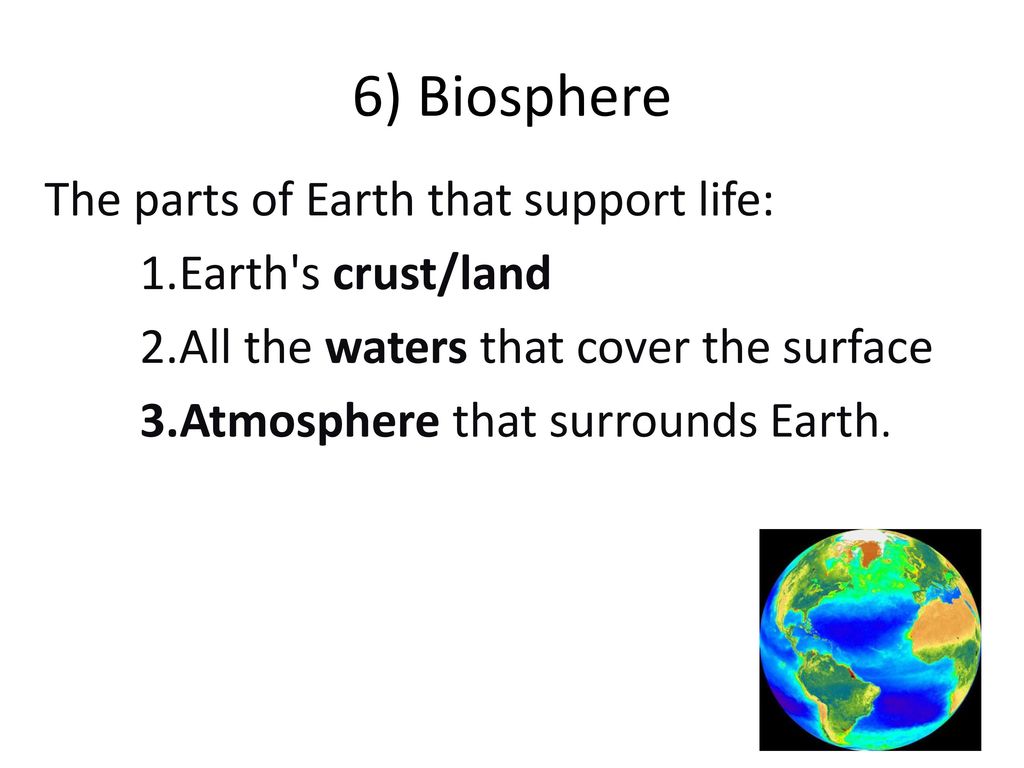 6) Biosphere The parts of Earth that support life: Earth s crust/land