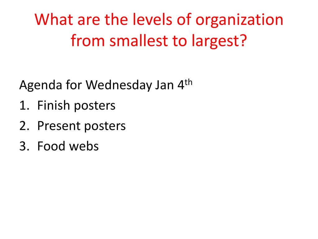 What are the levels of organization from smallest to largest