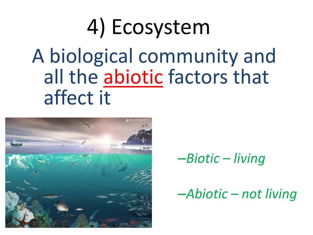 4) Ecosystem A biological community and all the abiotic factors that affect it.
