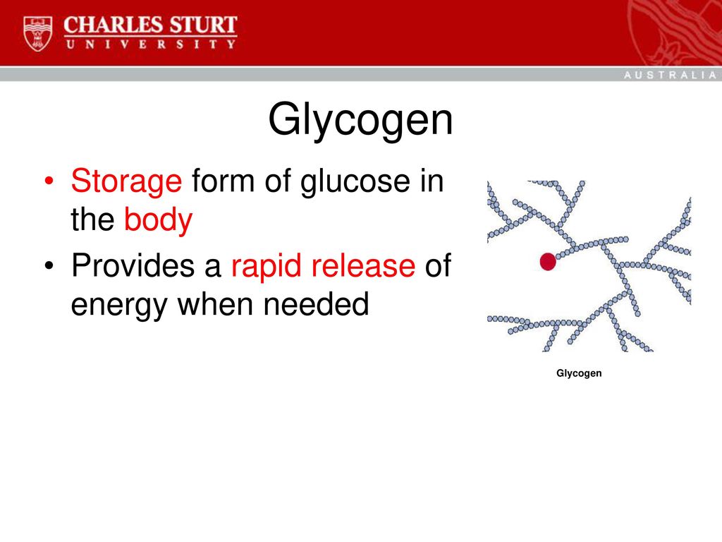 Glycogen Storage form of glucose in the body
