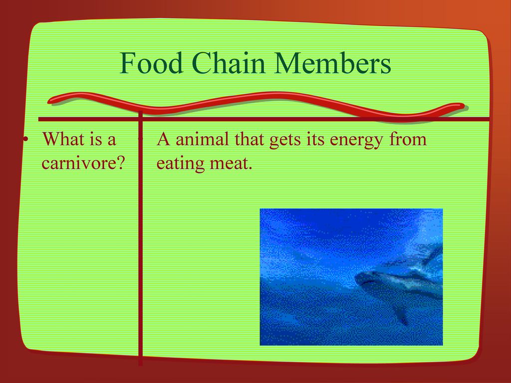 Environmental Vocabulary Biology Diagrams