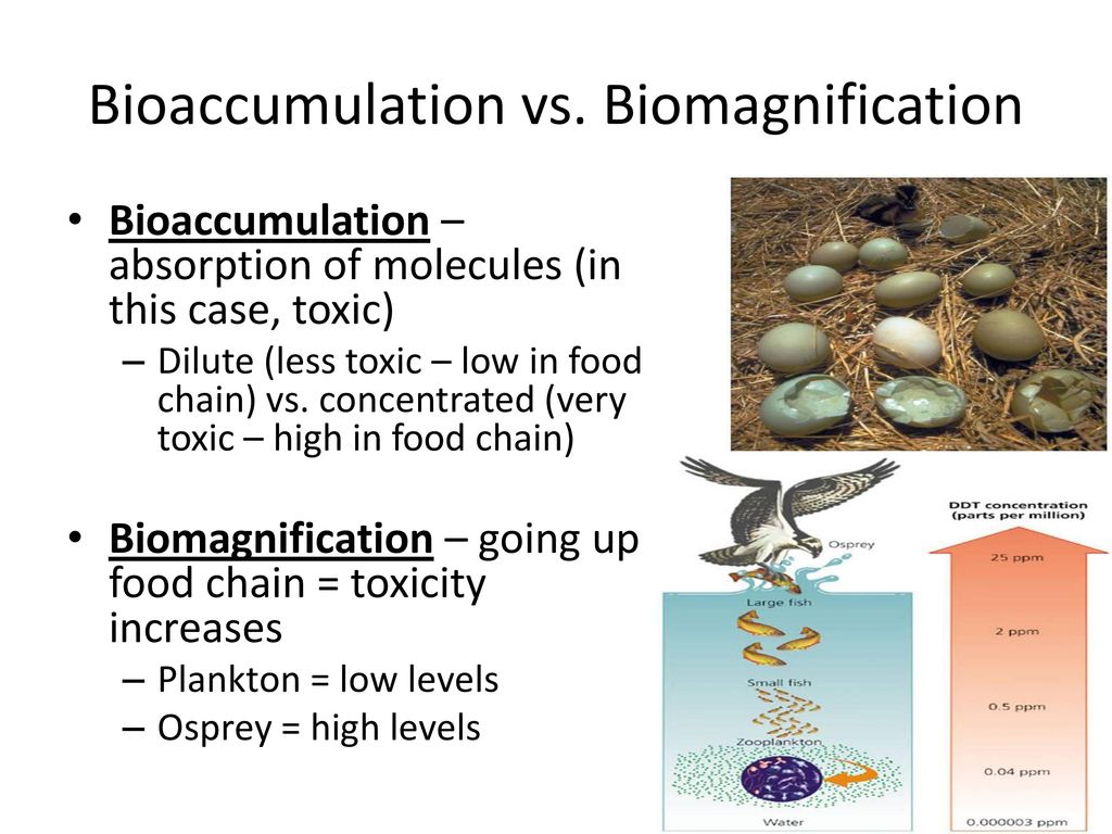 Warm Up #8 Why do you think people would dump their waste into rivers ... Biology Diagrams