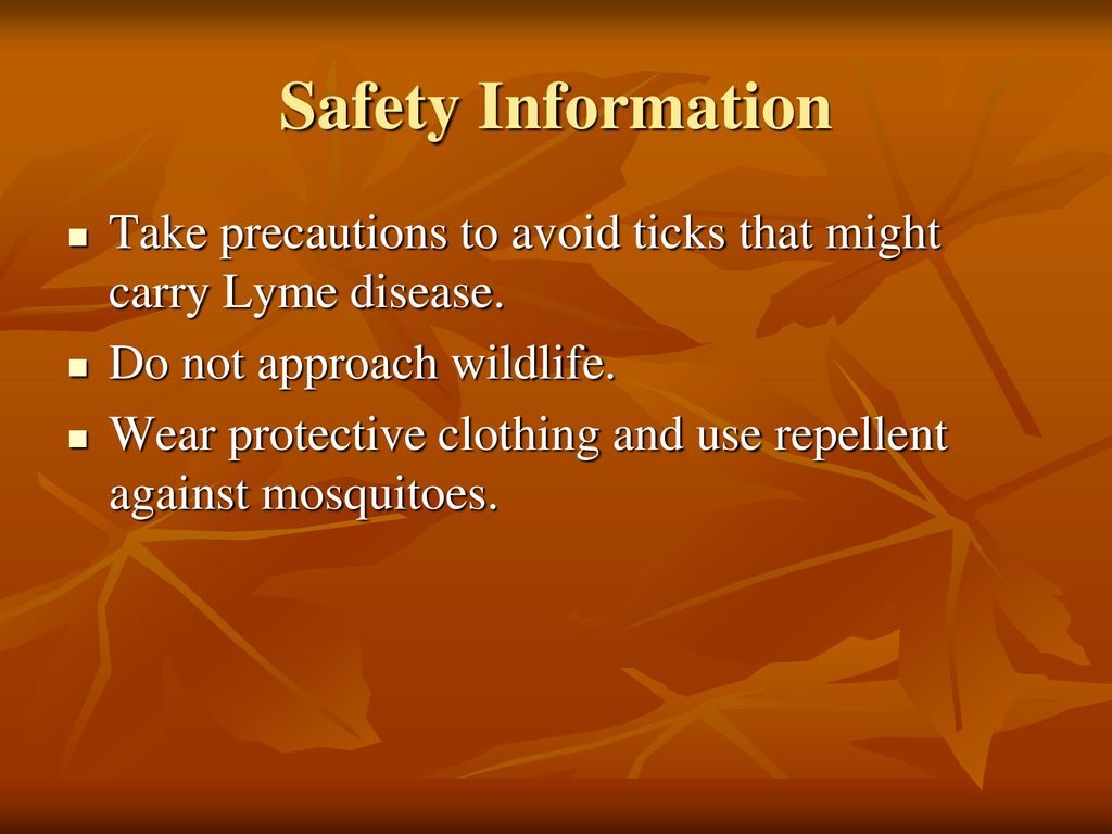 Safety Information Take precautions to avoid ticks that might carry Lyme disease. Do not approach wildlife.