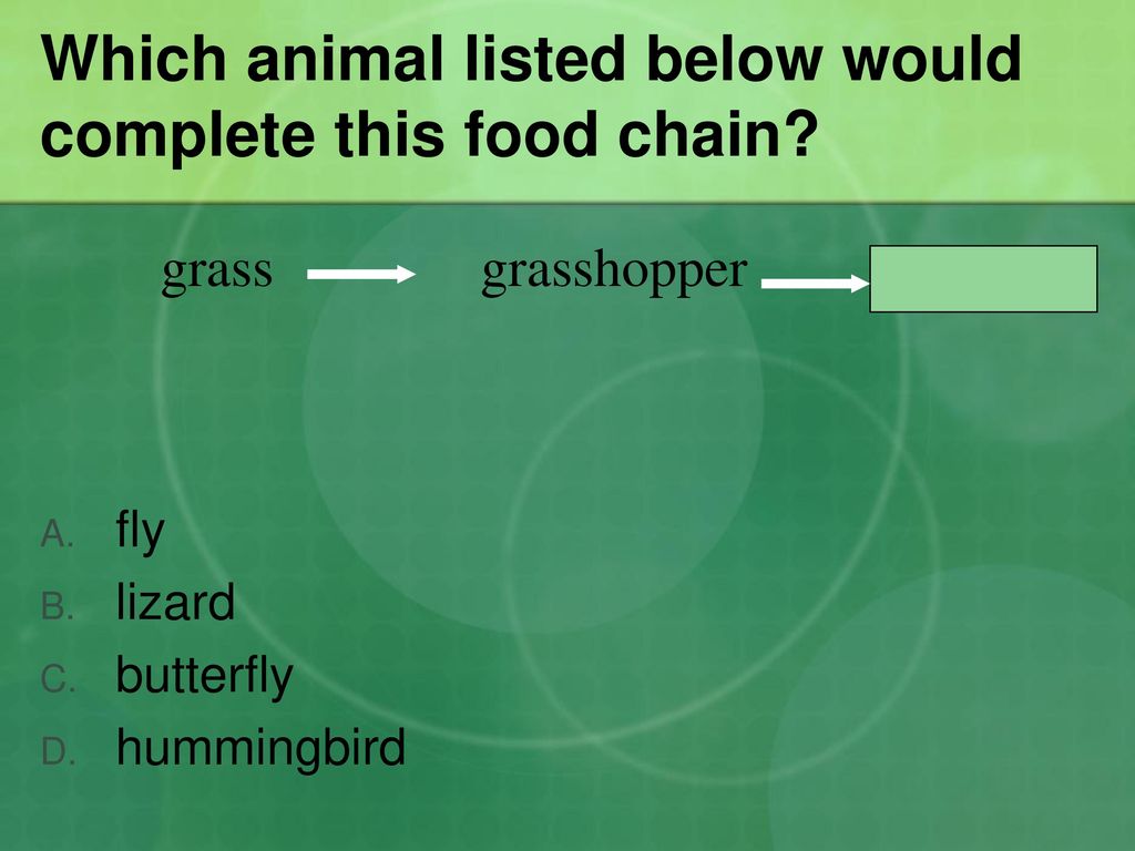 TCAP Practice Questions Biology Diagrams