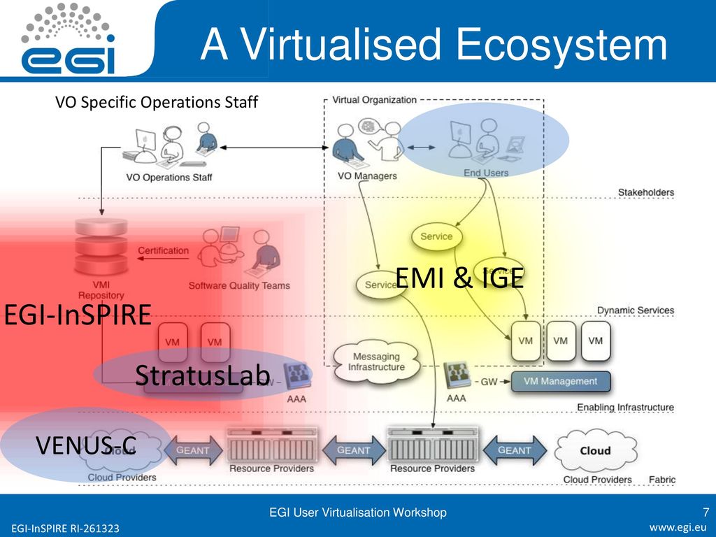 A Virtualised Ecosystem