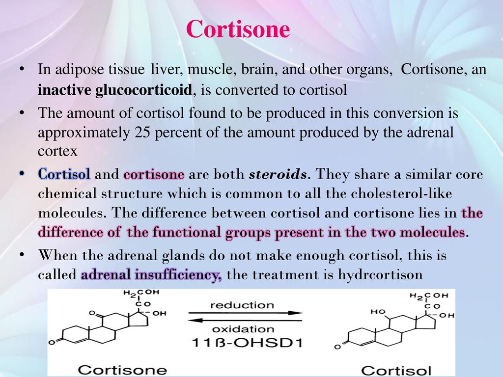 Adrenal Gland Cortisol. ppt download
