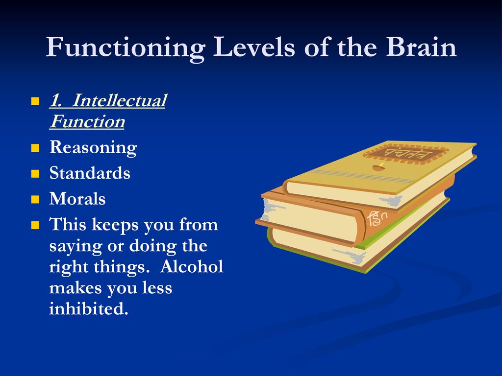 Functioning Levels of the Brain
