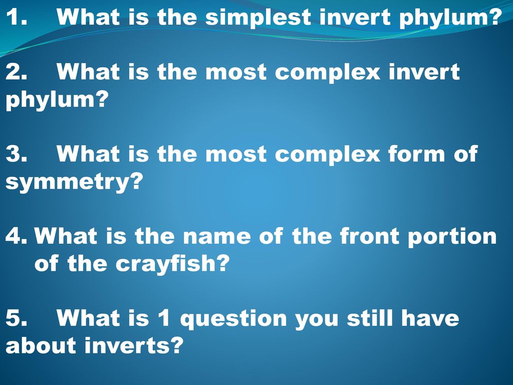 1. What is the simplest invert phylum