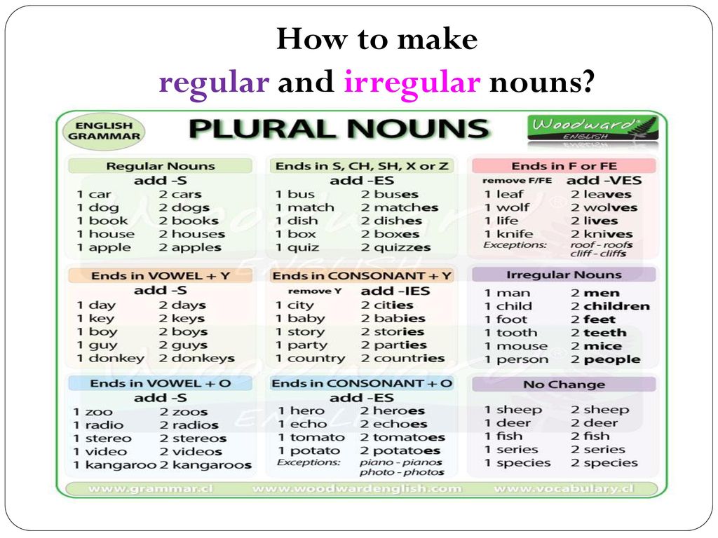 Singular plural nouns презентация