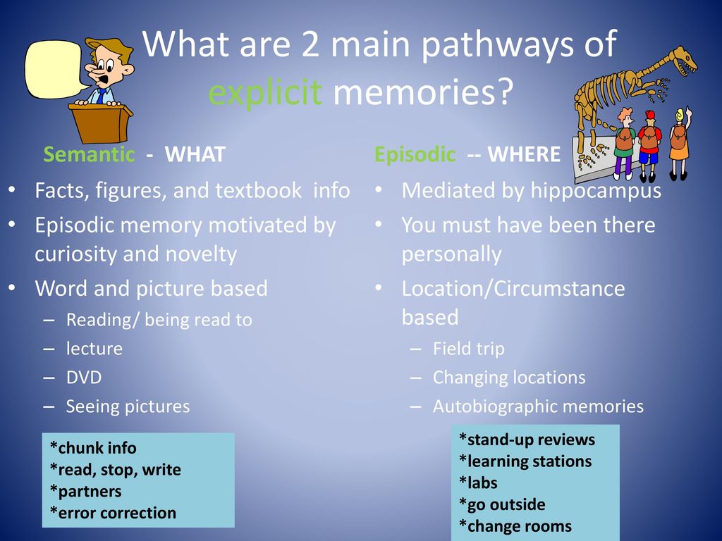 Bim 10 memory and recall ppt download