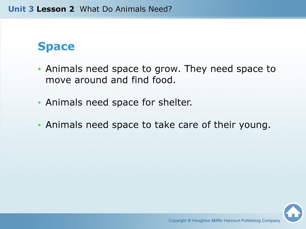 Unit 3 Lesson 2 What Do Animals Need? - ppt download