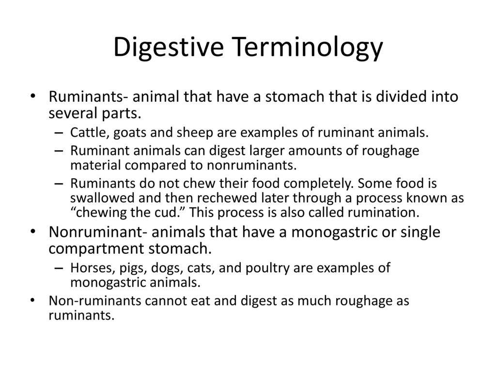 Understand the digestive process. - ppt download